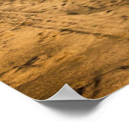 マスパロマ ポスター (角)