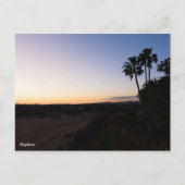 マスパロマ ポストカード (正面)