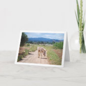 マスペインのルオンカントリーロード カード (正面)