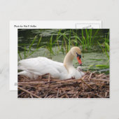 マスワンとベビーはがき ポストカード (正面/裏面)