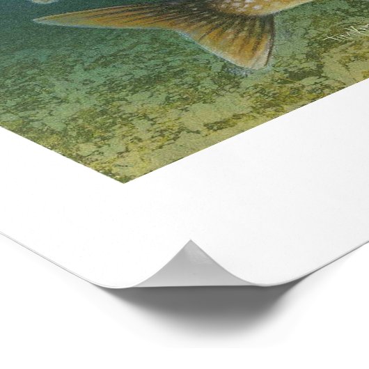 マス湖絵画のポスター ポスター (角)