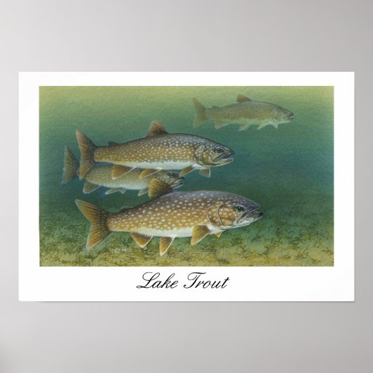 マス湖絵画のポスター ポスター (正面)