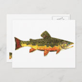 マス絵画魚 ポストカード (正面/裏面)