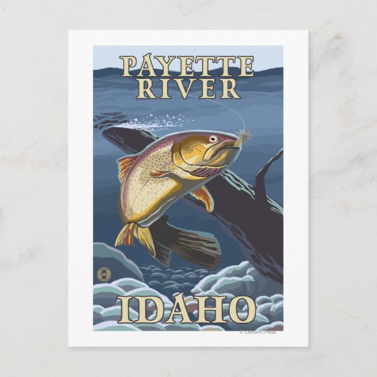 マス釣り断面図 - ペイエット川 ポストカード (正面)