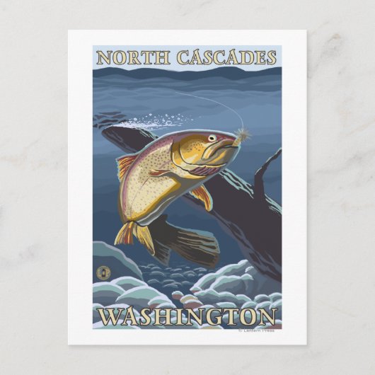 マス魚釣り断面 – 北カスケード， ポストカード (正面)