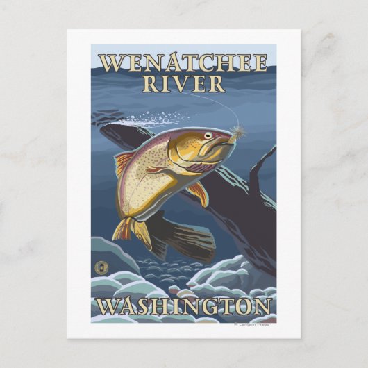 マス魚釣り断面 – Wenatchee River, W ポストカード (正面)
