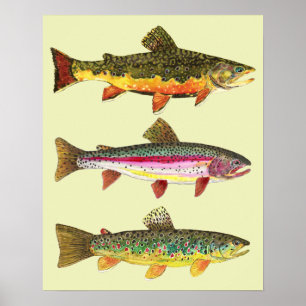 マス魚釣り ポスター