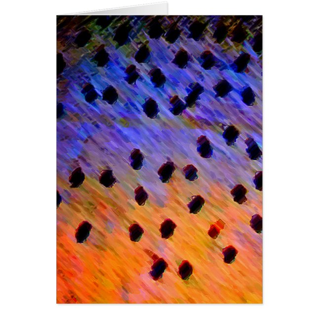 マス-カード (正面)