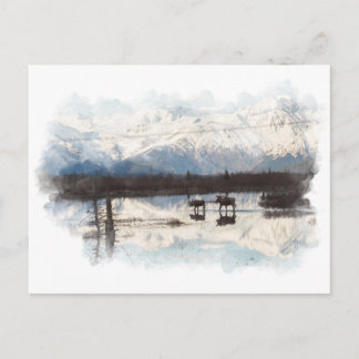 マス ポストカード