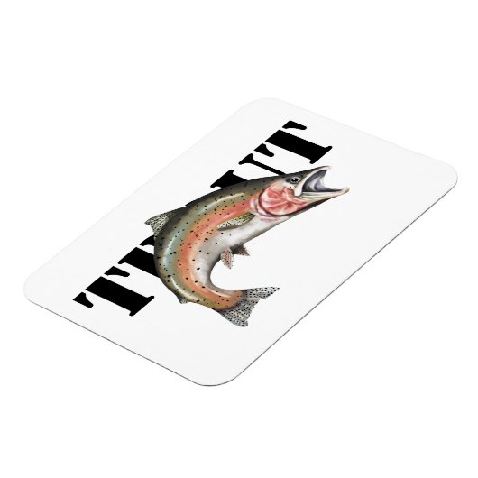 マス マグネット (左側)