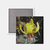 マス・リリー#1磁石 マグネット (正面/裏面)