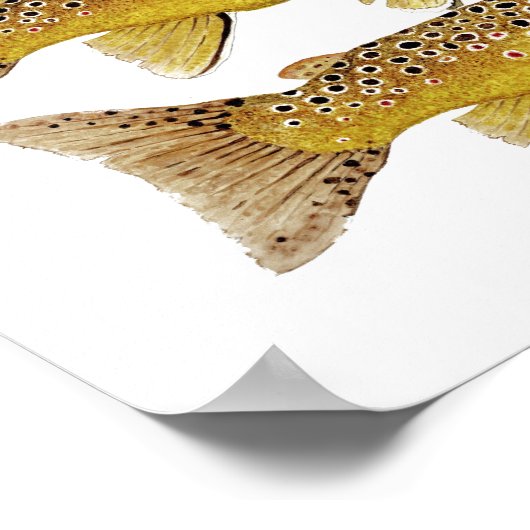 マス（三） ポスター (角)