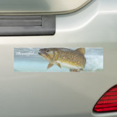 マス、小川 バンパーステッカー (車上)