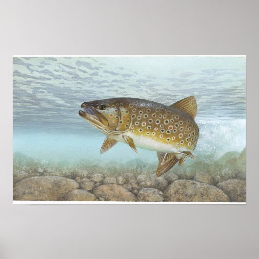 マス、小川 ポスター (正面)