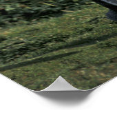 マゼランのペンギン ポスター (角)