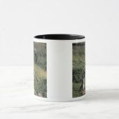 マゼランのペンギン マグカップ (中央)