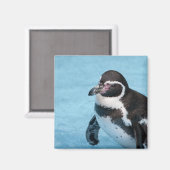マゼランペンギンマグネット マグネット (正面/裏面)