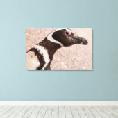 マゼランペンギン、パタゴニア、アルゼンチン キャンバスプリント (インサイチュ (ウッドフロア))