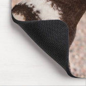 マゼランペンギン、パタゴニア、アルゼンチン マウスパッド (コーナー)