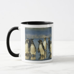 マゼランペンギン, Spheniscus マグカップ