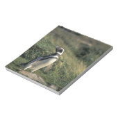 マゼランペンギン (Spheniscus magellanicus) ノートパッド (回転)