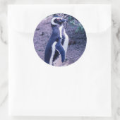 マゼラン半島のペンギン – アルゼンチン ラウンドシール (バッグ)