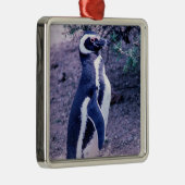 マゼラン半島ペンギン半島バルデス – パタゴニア メタルオーナメント (右)