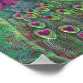 マゼンタおよびティール(緑がかった色)ピーコックプリント ポスター (角)