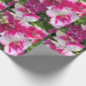 マゼンタおよび白色のペチュニア ラッピングペーパー (角)