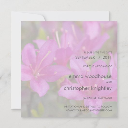 マゼンタつつじDSC1724 セーブザデート (裏面)