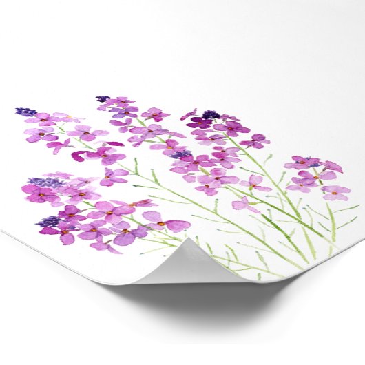 マゼンタのウォーフラワーウォーターの色 ポスター (角)