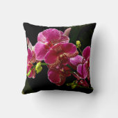 マゼンタのラン開花 クッション (裏面)