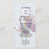 マゼンタの色合いのアヤメ3 プログラム (正面/裏面)