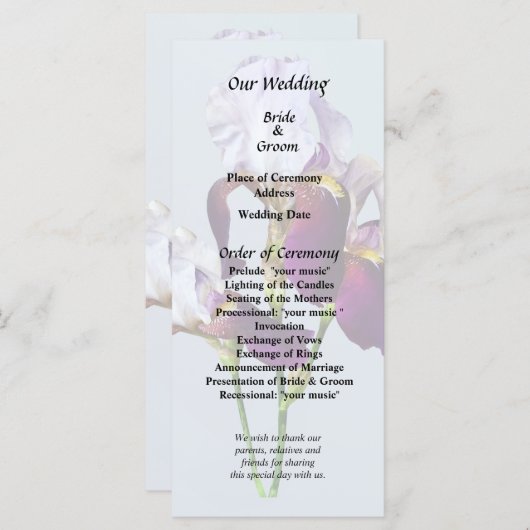 マゼンタの色合いのアヤメ3 プログラム (正面/裏面)