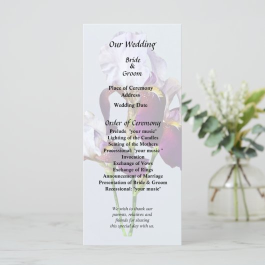 マゼンタの色合いのアヤメ3 プログラム (スタンド正面)