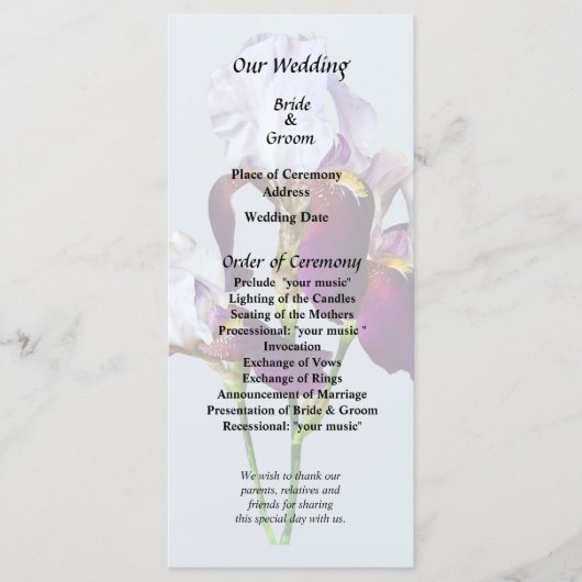 マゼンタの色合いの3つのアヤメ プログラム (正面)