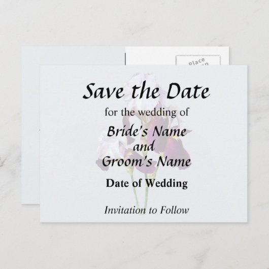 マゼンタの色合いの3つのアヤメ 案内ポストカード (正面/裏面)