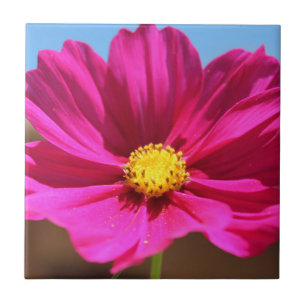 マゼンタの花 タイル
