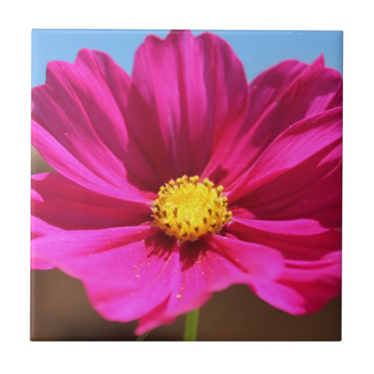 マゼンタの花 タイル (正面)