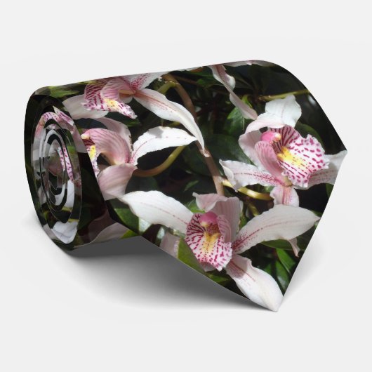 マゼンタの蘭木 ネクタイ (ロール)