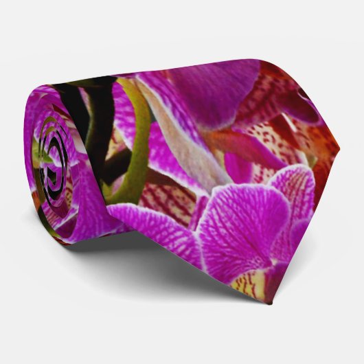 マゼンタの蘭、 ネクタイ (ロール)