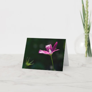 マゼンタの野生の花Notecard カード