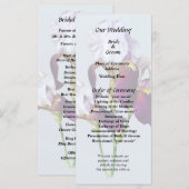 マゼンタの3つのアヤメ プログラム (正面/裏面)