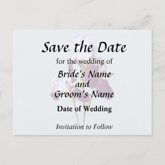 マゼンタの3つのアヤメ 案内ポストカード (正面)