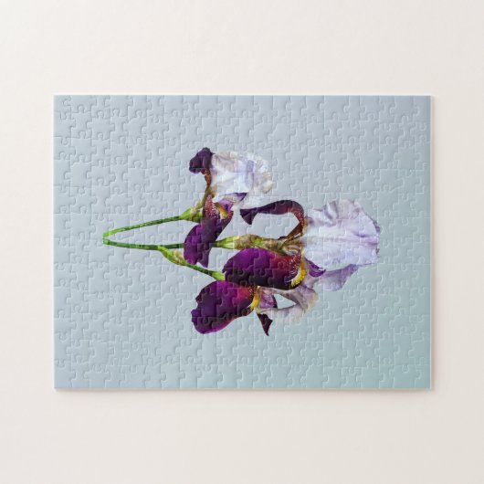 マゼンタシェードの3つのアイリス ジグソーパズル (横)