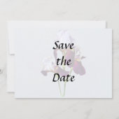 マゼンタシェードの3つのアイリス セーブザデート (裏面)