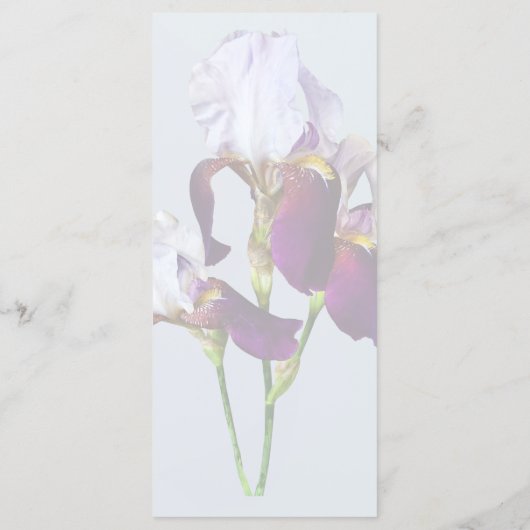 マゼンタシェードの3つのアイリス メニュー (裏面)