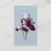 マゼンタシェードの3つのアイリス 名刺 (裏面)