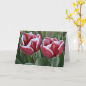 マゼンタチューリップ花2つ カード (黄色い花)