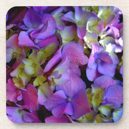 マゼンタパープルアジサイ紫ブルーイエロー コースター (正面)